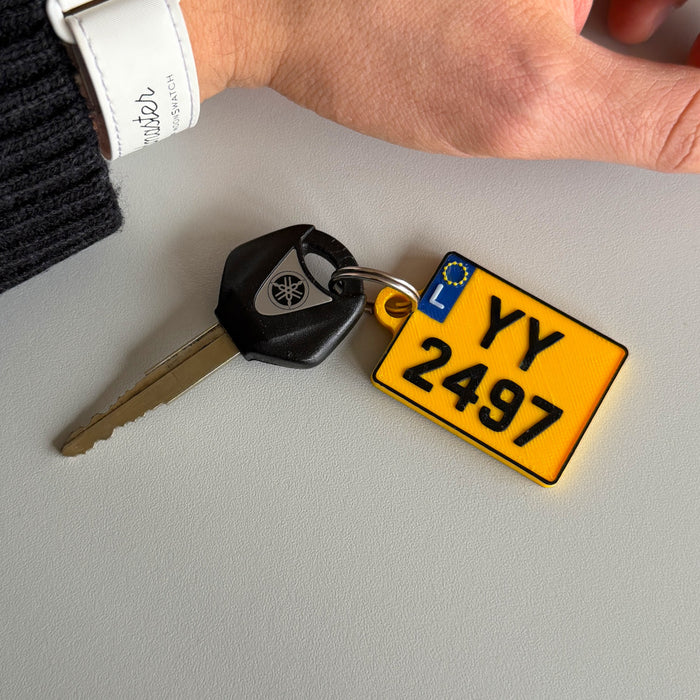 Motorcycle License Plate 2 Keychain (LU)