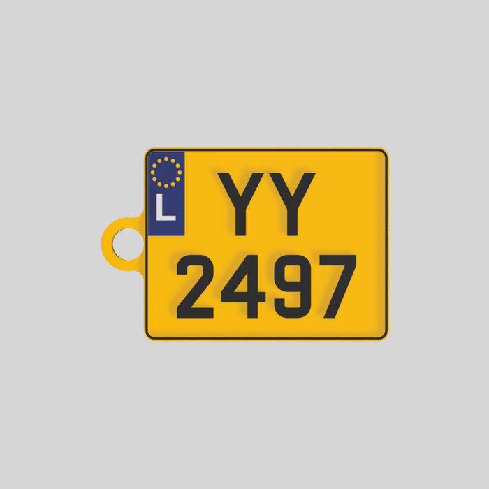 Motorcycle License Plate 2 Keychain (LU)